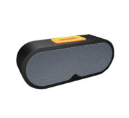 Portable Speaker